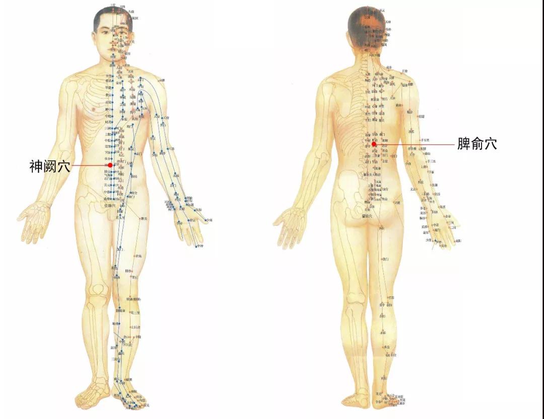 艾灸穴位组合肠胃不适——腹泻 艾灸小匠天才百穴灸