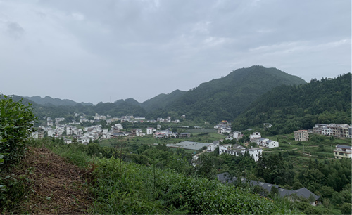 江西上犹县梅水乡园村.