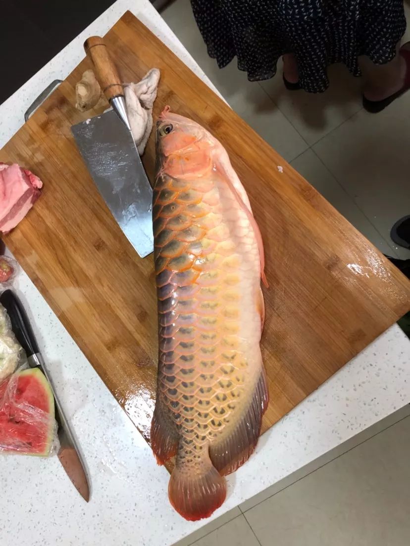 鱼虎云一猜一成语大全_一图一成语猜答案大全