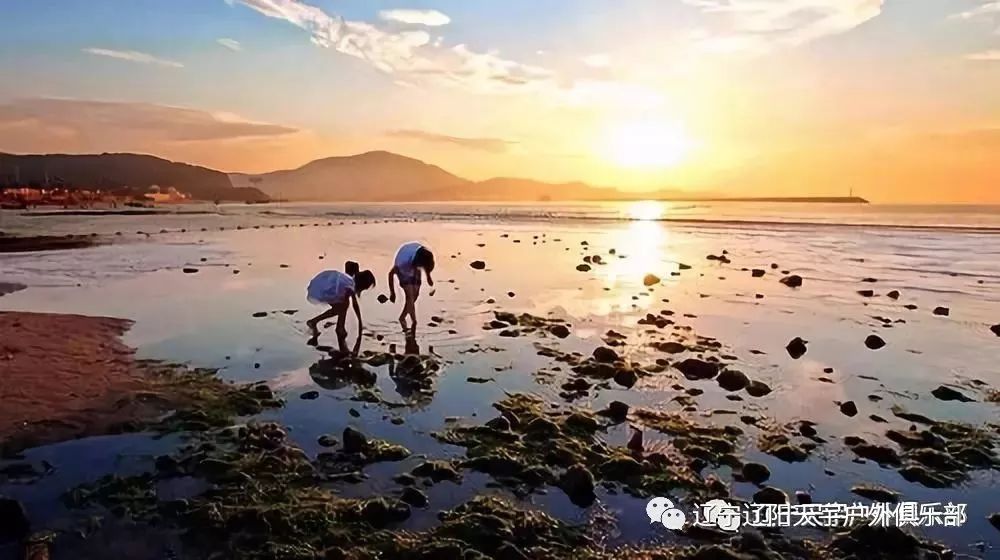 天宇户外2019年7月2728日大连西中岛凤鸣岛两日游