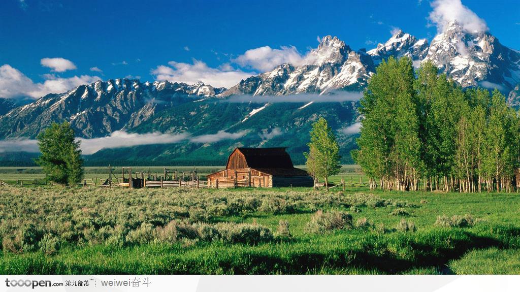 原来这些歌词才是最好的文案!