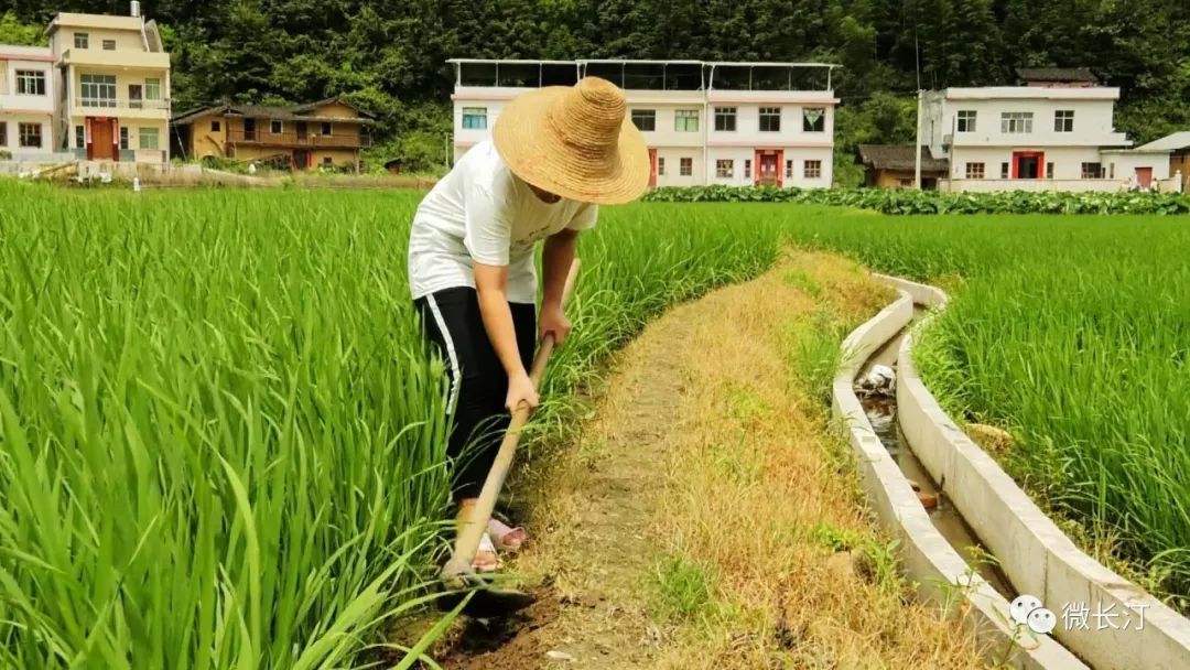 长汀县有多少人口_长汀社会保障性住房建设工程成绩喜人