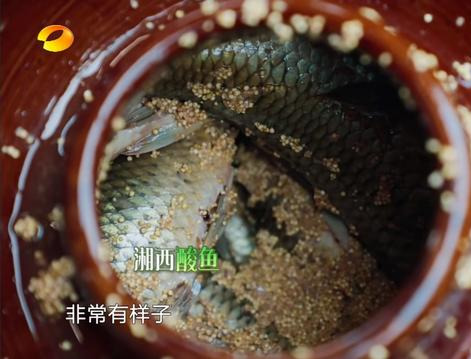 坛子鱼是哪里的 f68c56f3bd1e4c18bcb672db58b66381.jpeg