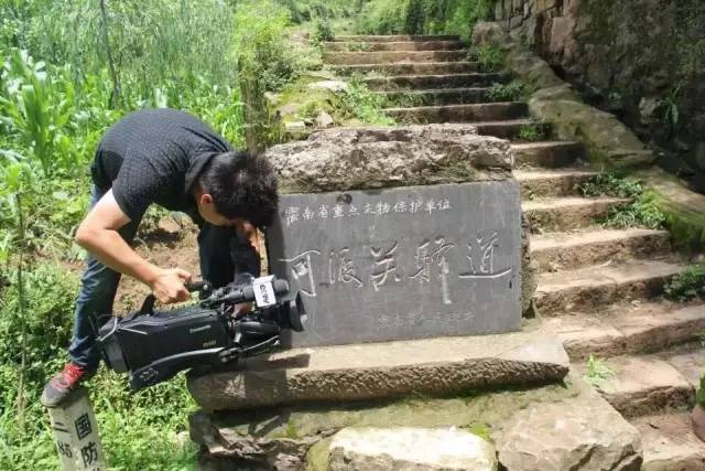 杨柳——可渡古驿道