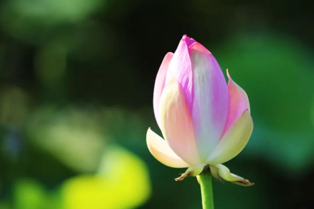 曾国藩:勿以小怨,忘人大恩(深度好文)