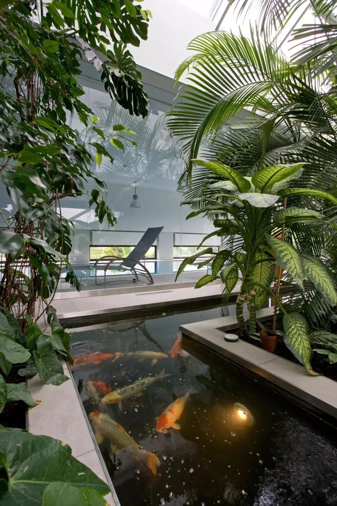 室内绿植景观 1e434e43ba31400bb100c75463e51c6a.jpeg