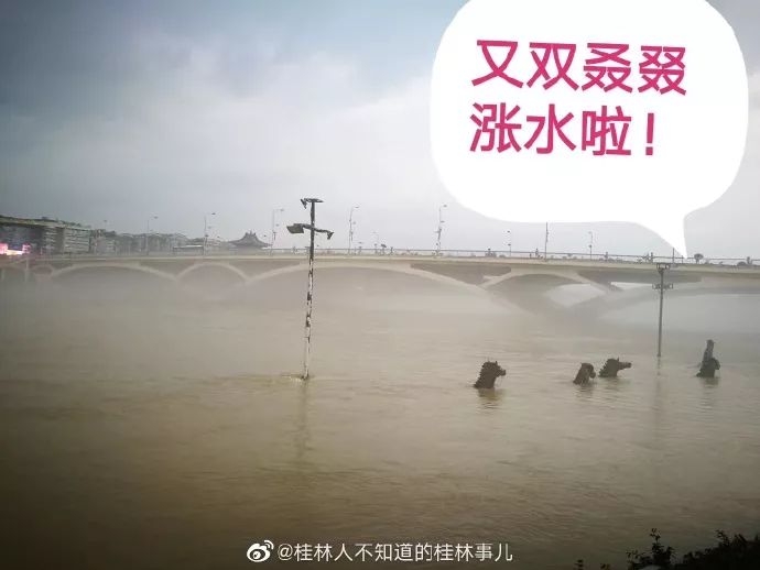 暴雨之后,今早解放桥