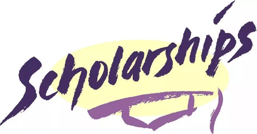 我最遗憾的事_【我可能买了假车只有他这样的才是对的车_云南谊和众泰