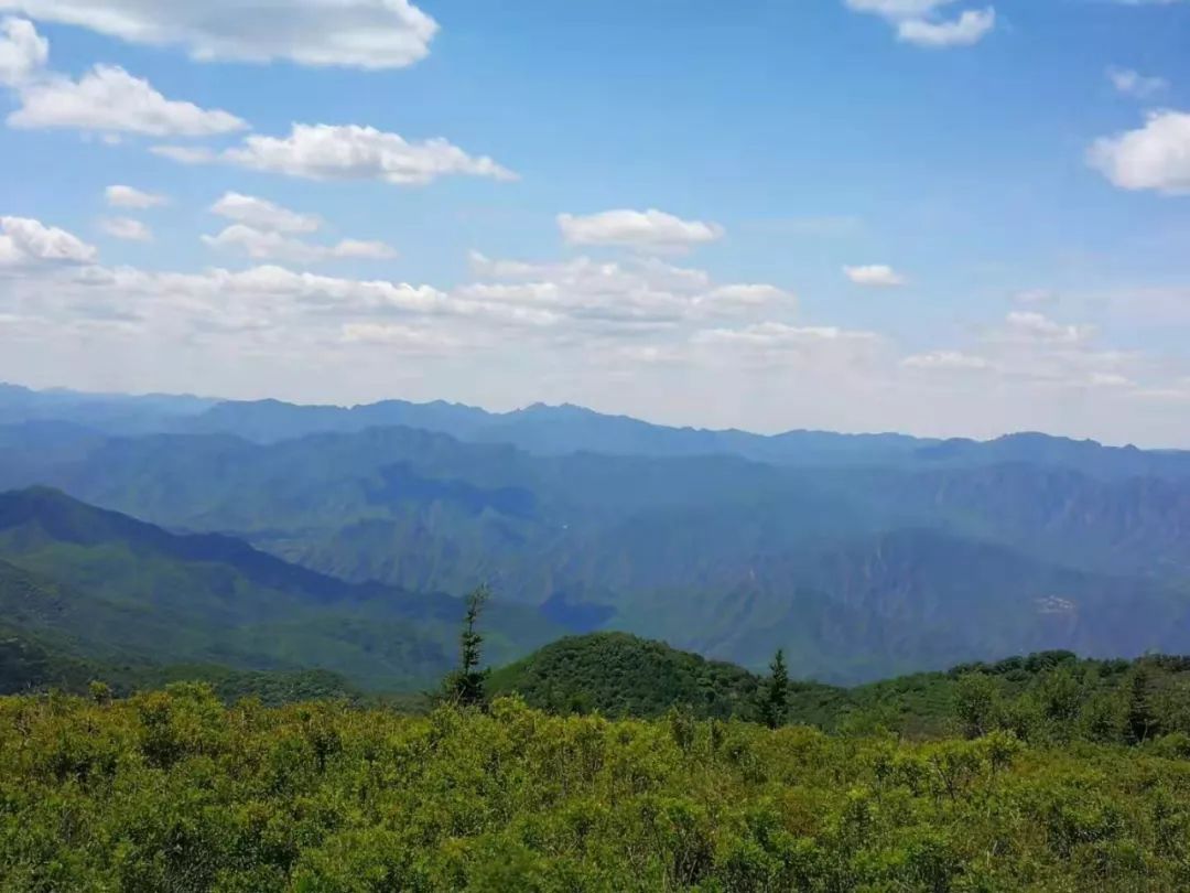 远处起伏的山峦