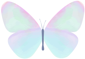 34abc037a09a42a4b75dca4c20b8a566.png