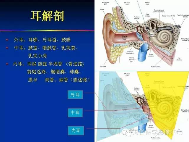 耳部ct及mri解剖