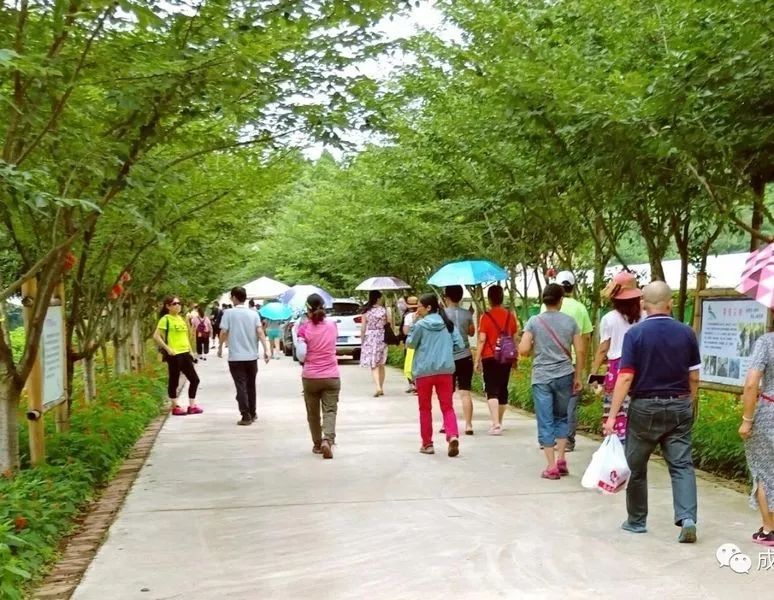 阳光森林农场占地400余亩,位于旌阳区东湖乡新华村16组的山谷之中,山