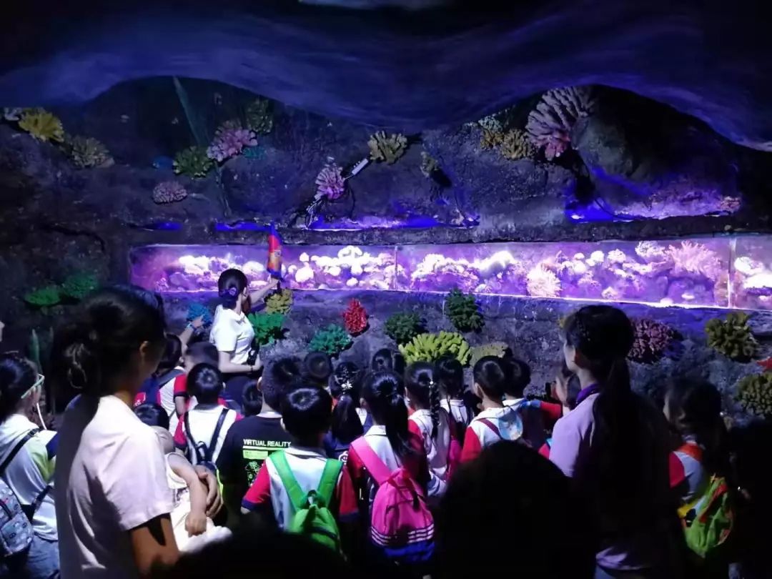 100元/张 郑州海洋馆在许昌有优惠门票销售!