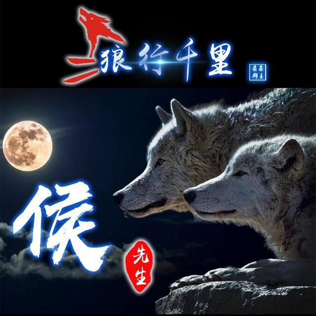 霸气微信头像,姓氏头像,狼行千里精美设计,喜欢请带走