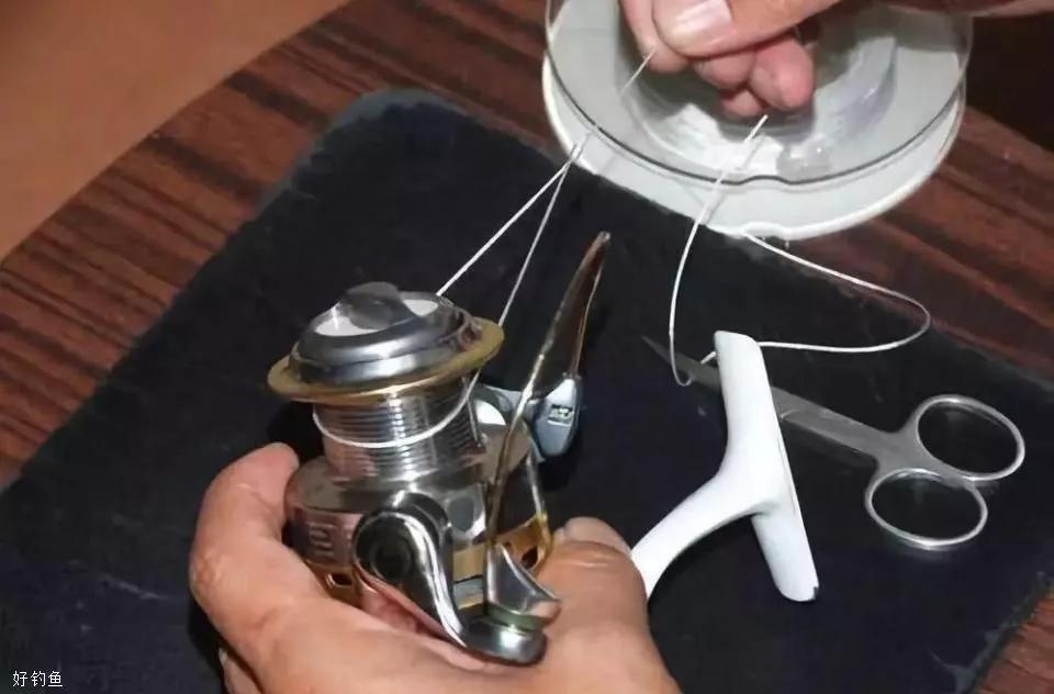 如图抽紧钓线,使活套紧勒在纺车轮的线杯上.