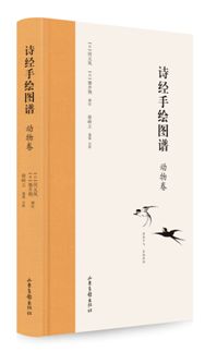 物种简谱_李宇春新物种简谱