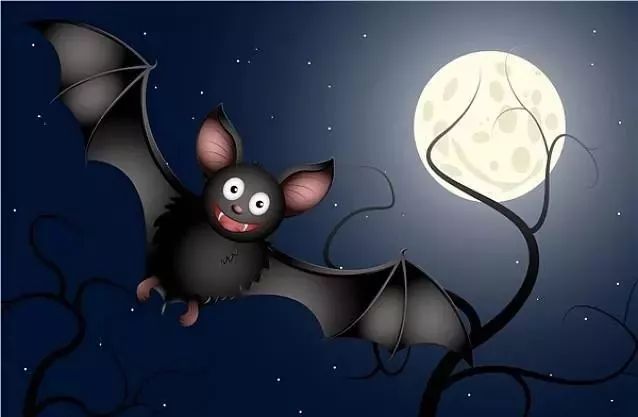 【声音魔法石】 蝙蝠是鸟?还是兽?
