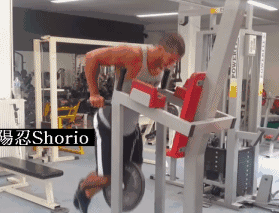 各个部位最佳锻炼动作gif图汇总,拿走不谢!_屈伸