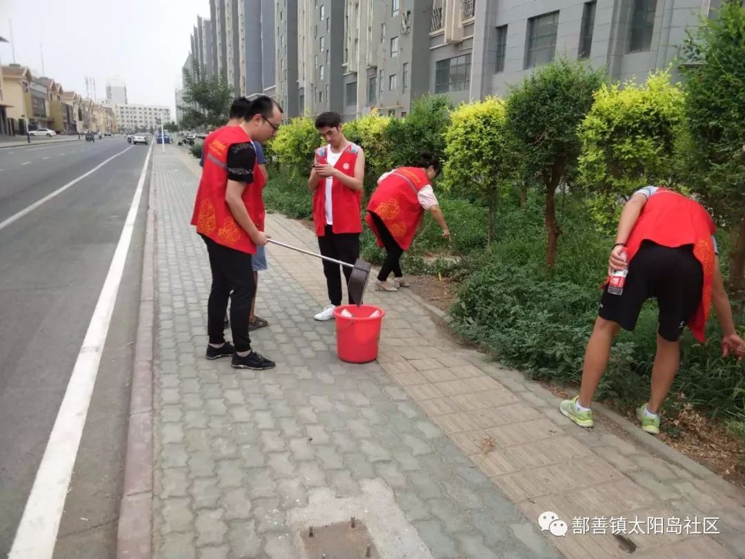 我们在行动太阳岛社区志愿者服务队7月开展环境卫生整治系列活动