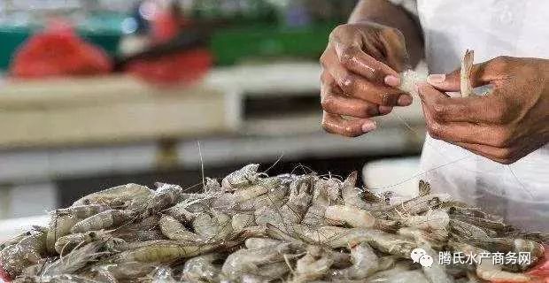 对华出口14亿美元!印度白虾对华出口大幅飙升