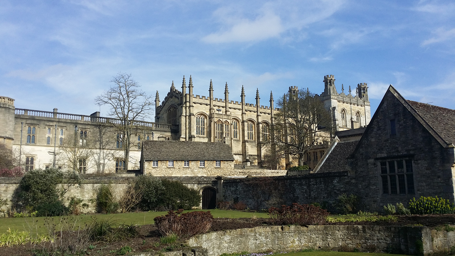 巴斯大学世界排名_珍妮巴斯(2)