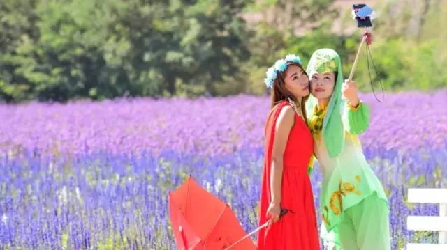 2019金沙岛抖音达人原创短视频大赛来袭,现