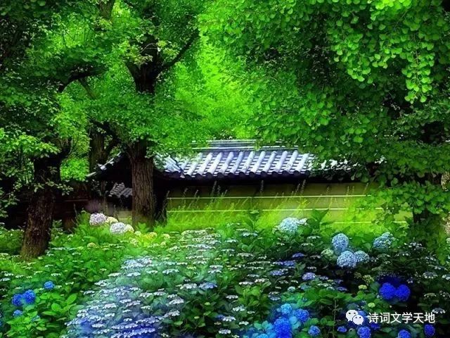 文章配图