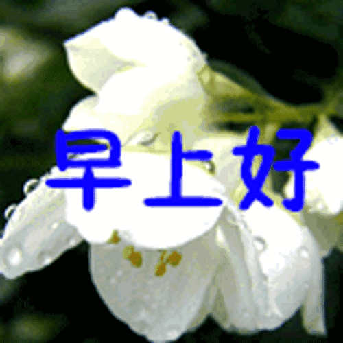 夏天早上好图片大全动态的图片 早晨动画表情包