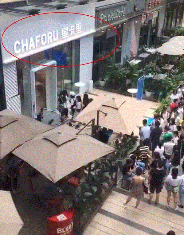 王俊凯打卡父母开的奶茶店为何让助理买奶茶自己不进去