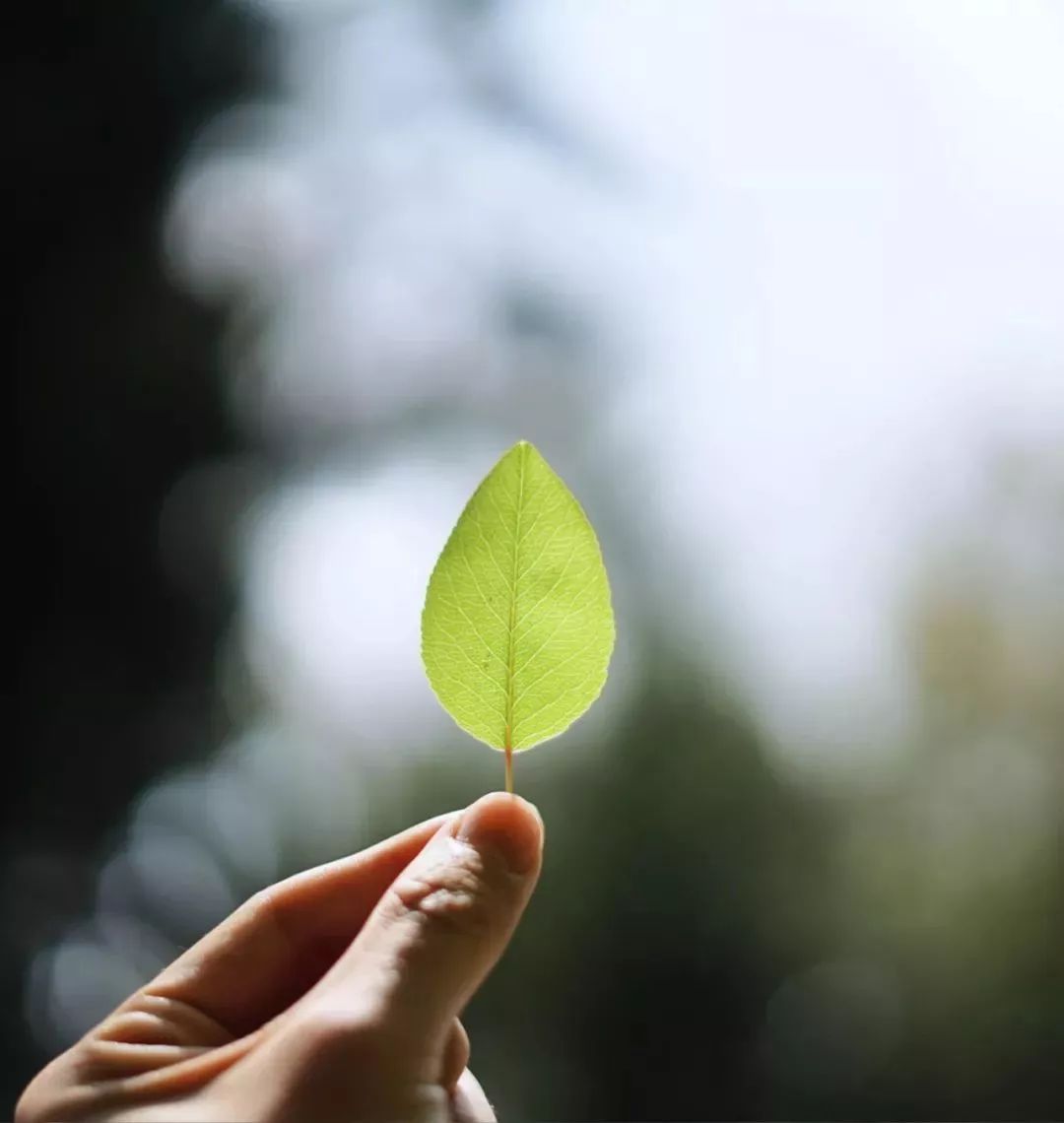 心烦,是因为心太满, 有些事该放就放, 有些人该忘就忘, 放下,你才能