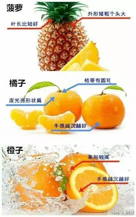 如何挑选西瓜图解 9f2d23e8bd154858ba204089af10f8cd.jpeg