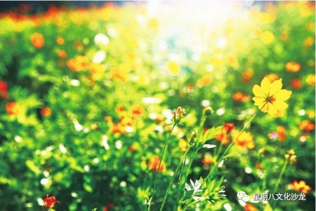 凤凰 为你朗诵 | 诗意中国