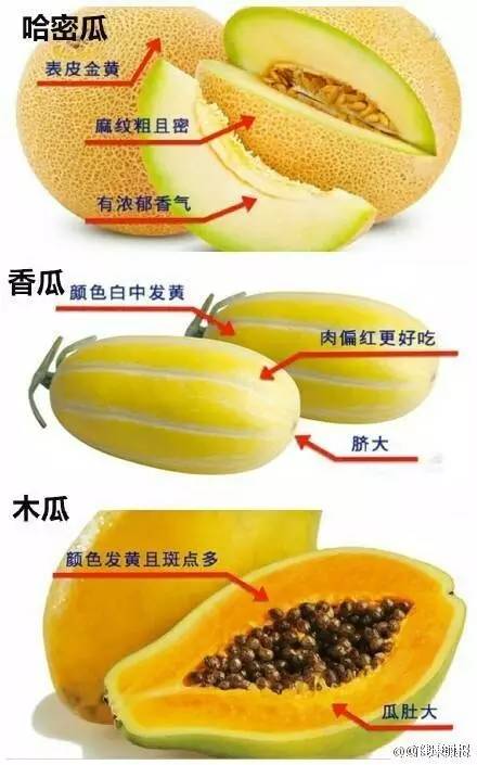 如何挑选西瓜图解 a878ee4737174561a8b2ac81ea967677.jpeg