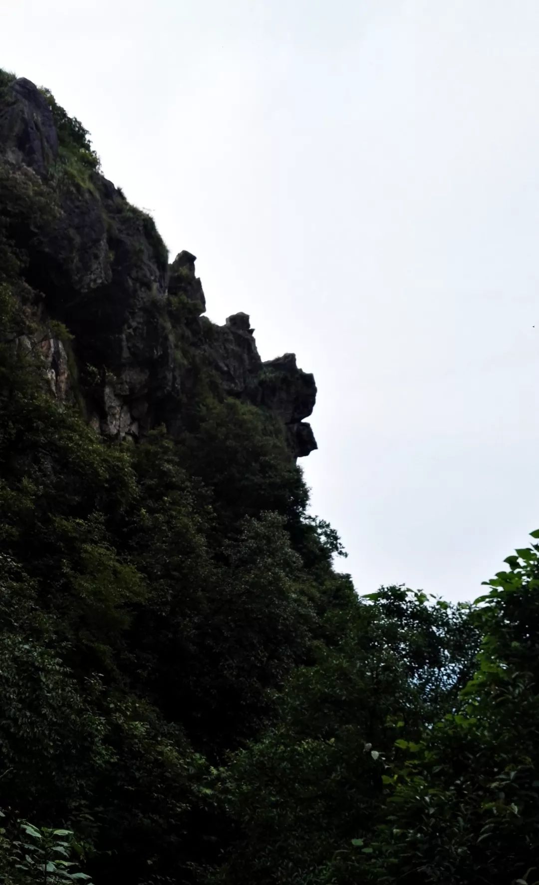 在雨中,贵溪居然有如此美景!