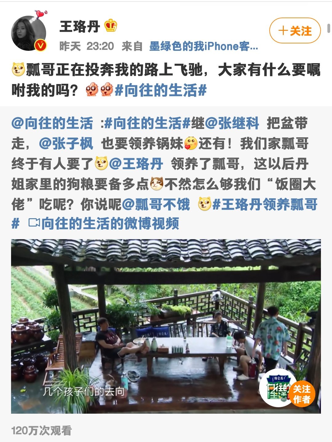瓢哥终于有人要了!大家却开始心疼王珞丹,粉丝:多拍戏赚钱吧! 金沙巴黎人