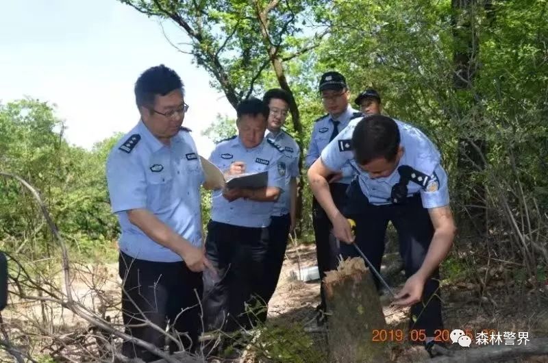 新闻快讯陕西省延安市森林防火指挥部办公室主任市森林公安局副局长罗