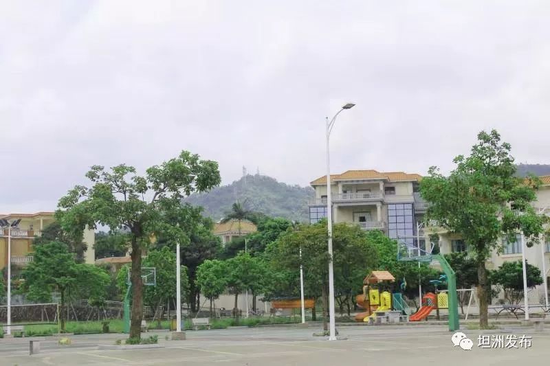 赞!坦洲镇新前进村入选市创建生态宜居