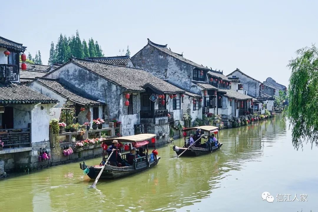 江南水乡枫泾随拍(游上海57)