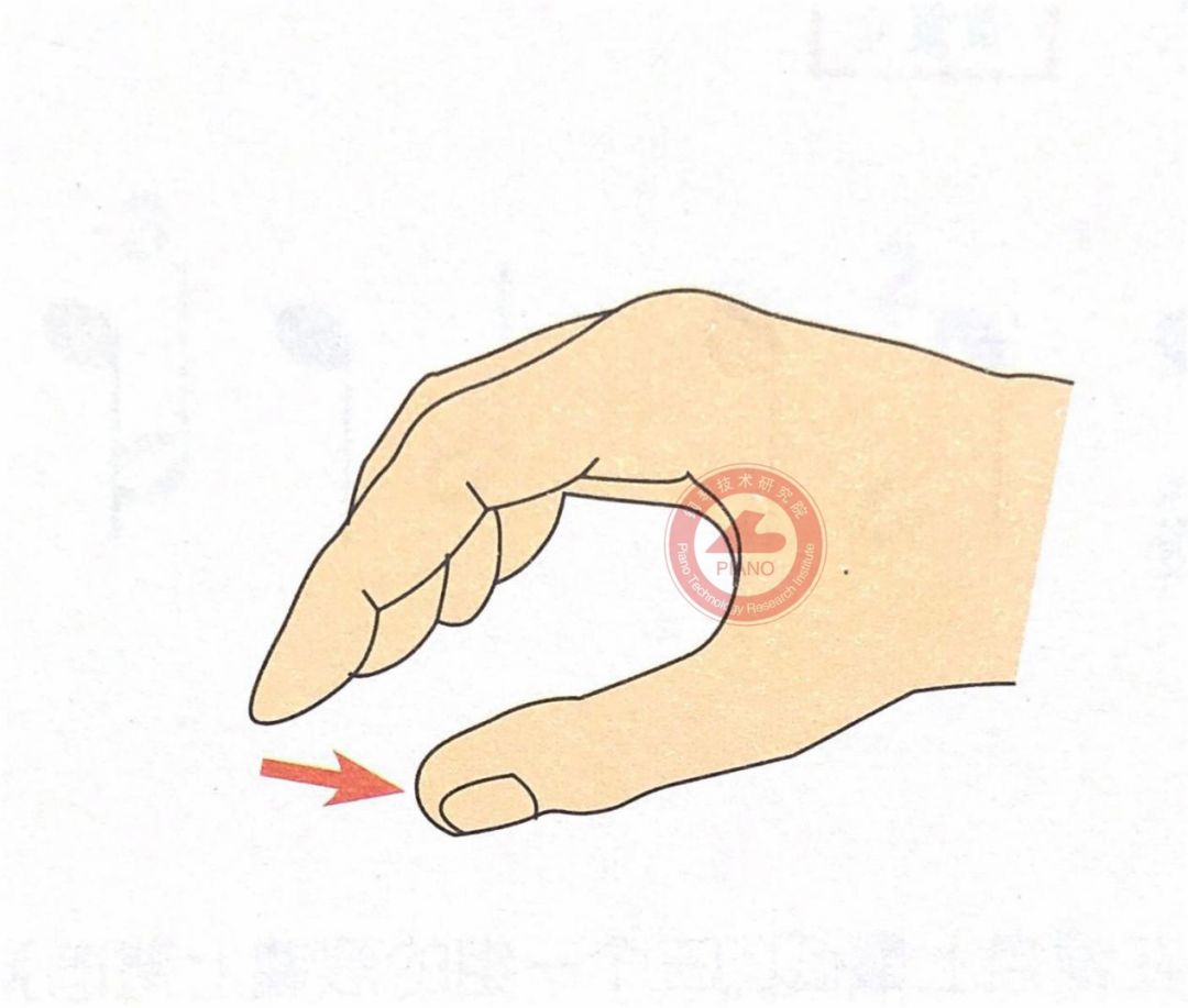 图文讲解弹钢琴的坐姿,手型,触键等._大拇指