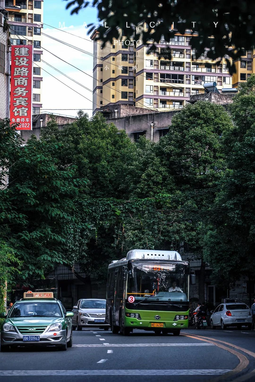 公交车,出租车也都是靓丽的风景线.