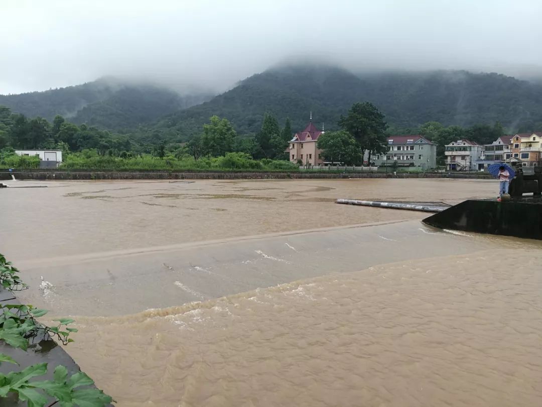 浦阳镇人口_浦阳镇临江村(3)