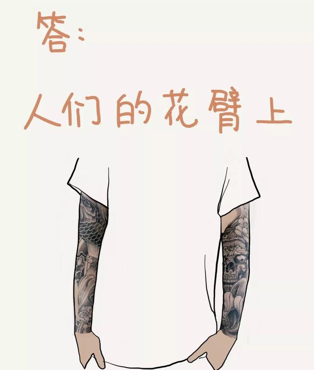 文章配图