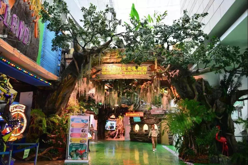 喂喂各个品种的小鸟 各种小动物一起玩耍,例如 热带雨林系列  对于小