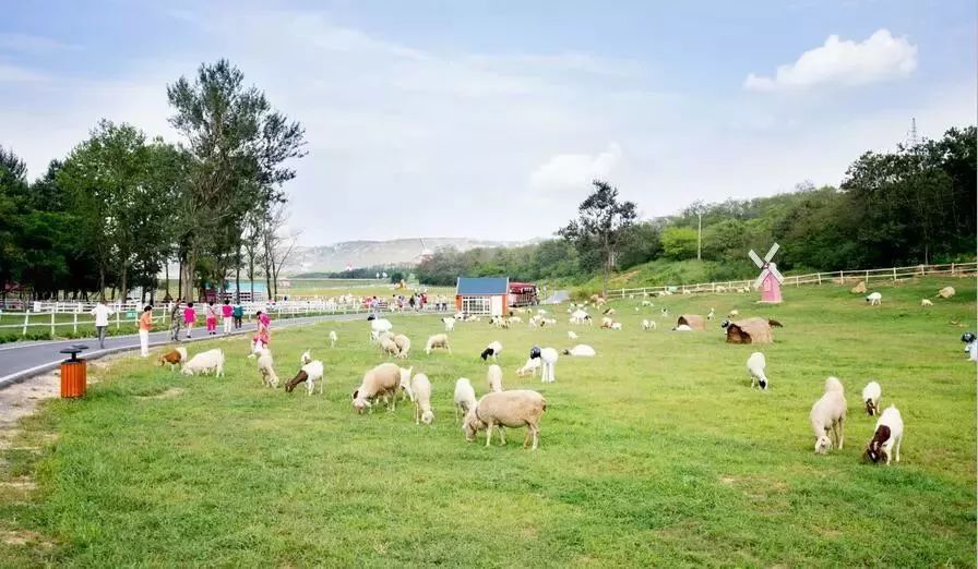 【小天使亲子团】58元铭湖牧场门票!看百芳草青青