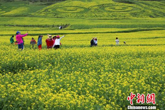 张掖市民乐人口_张掖市民乐职教牛根生(3)