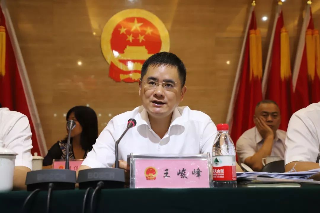 镇党委书记王峻峰作重要讲话他指出,以今天的大会为节点,全镇上下要