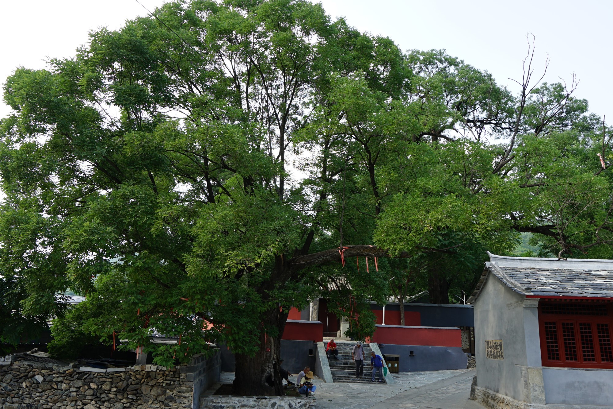 “京西小北京”南窖村，百年古村落的奇趣故事