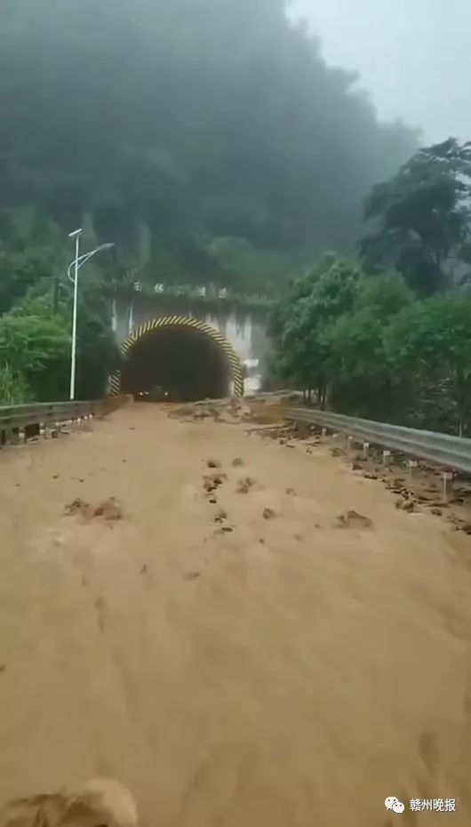 崇义县有多少人口_第四届中国 崇义阳明山万人徒步大会将于11月21号举行(2)