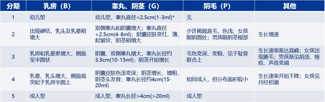 性发育过程的分期(tanner分期)