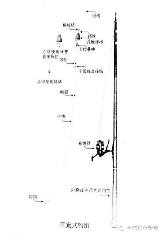 海鲜试吃|海钓钓组的组装图解--->>以及抛投技巧!